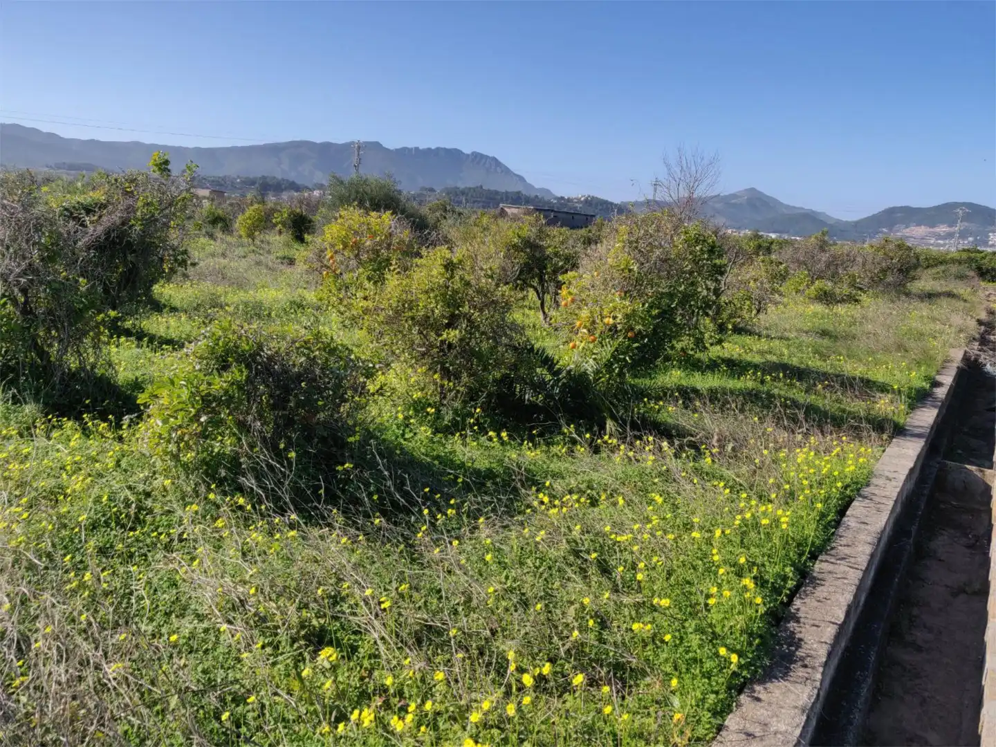 Finca rústica en venta en La Font d'en Carròs