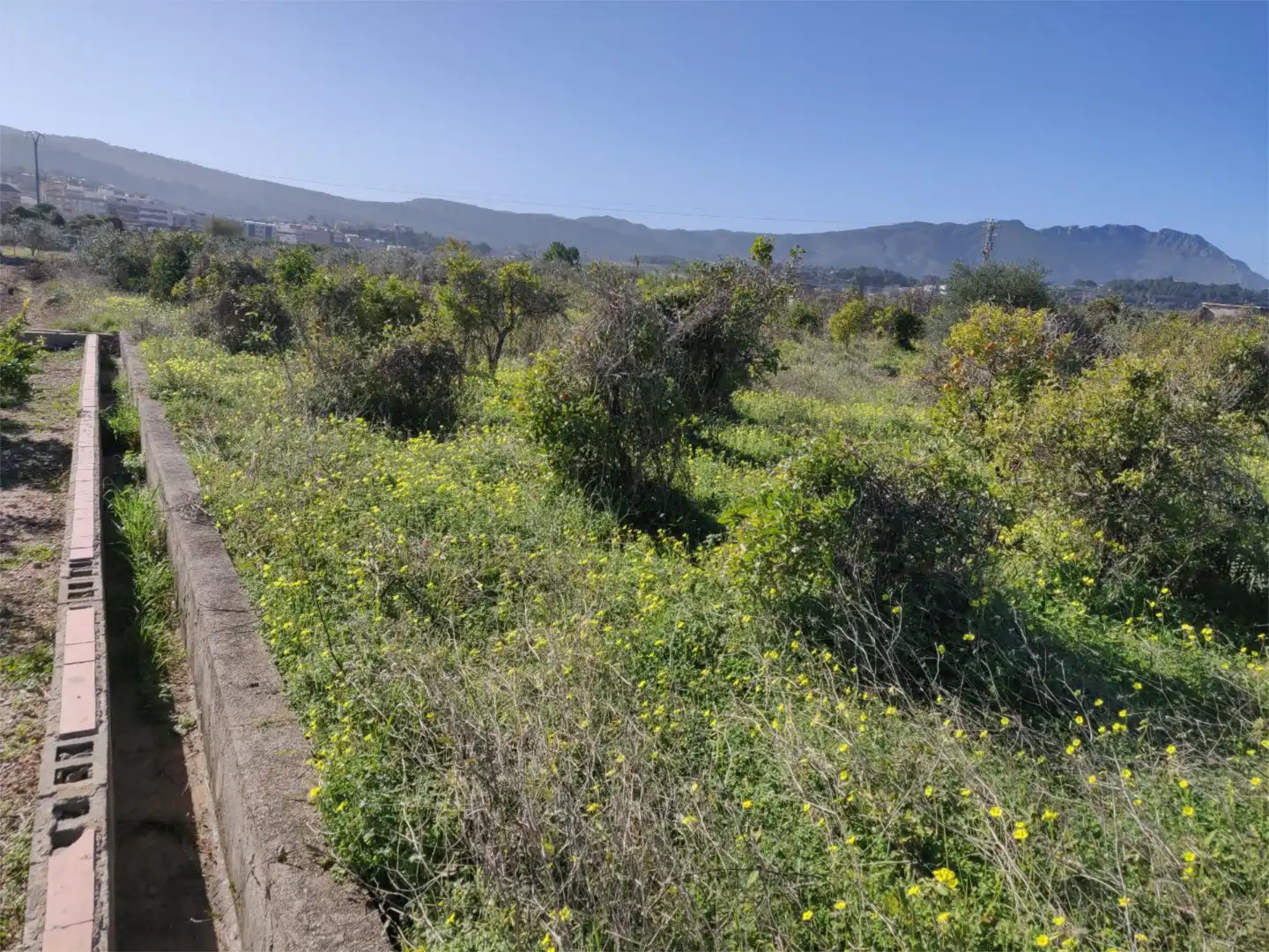 Finca rústica en venta en La Font d'en Carròs