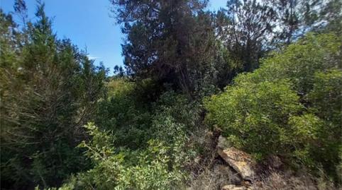 Photo 5 of Land for sale in Diseminado Can Simona, 28, Es Cubells, Illes Balears