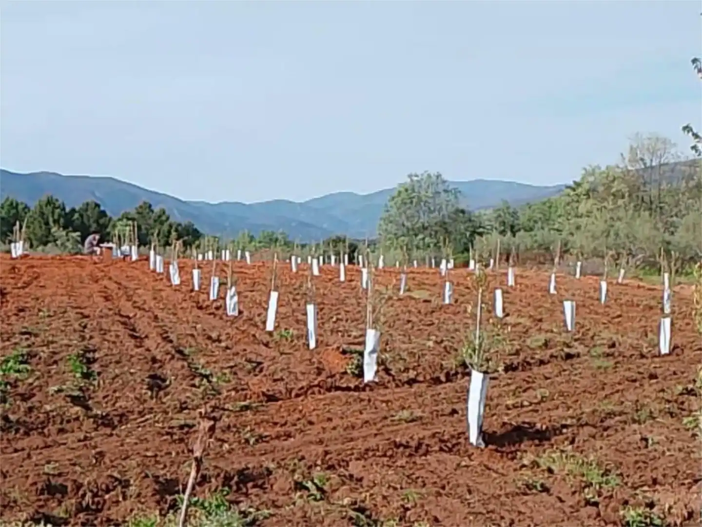 Country homes for sale in Carretera Torre de Don Miguel, 34, Torre de Don Miguel Country homes for sale in Torre de Don Miguel