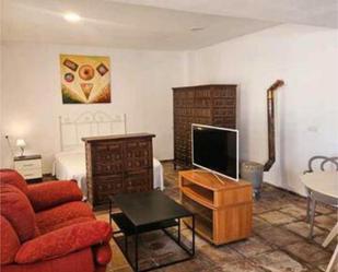 Living room of Loft to rent in Casabermeja