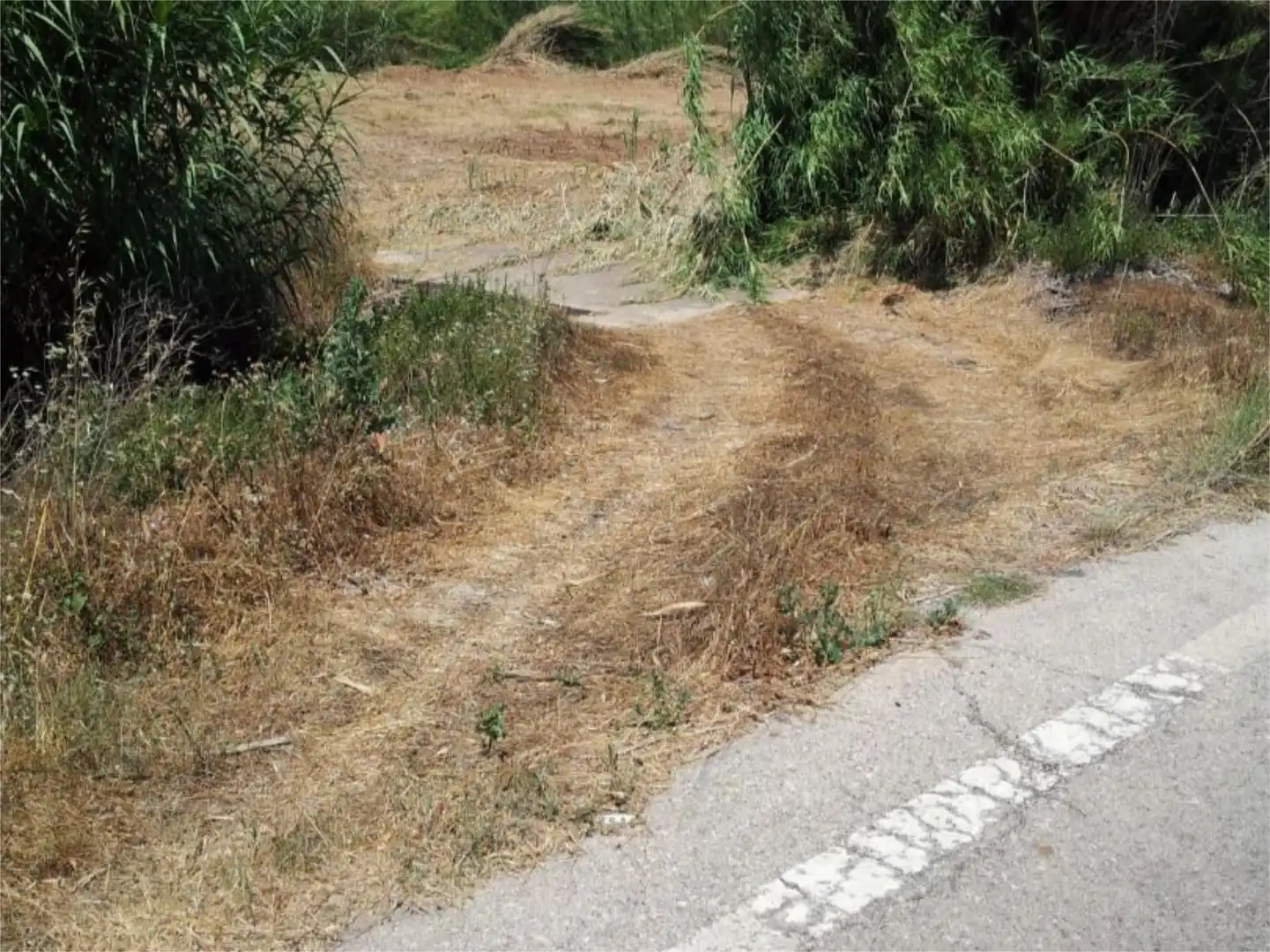 Finca rústica en venta en Xàtiva