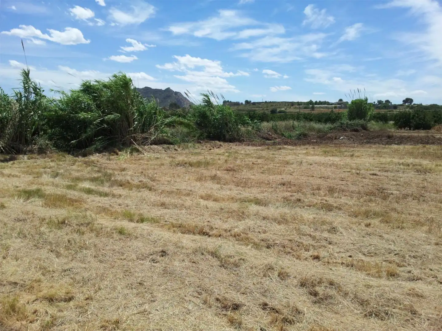 Finca rústica en venta en Xàtiva