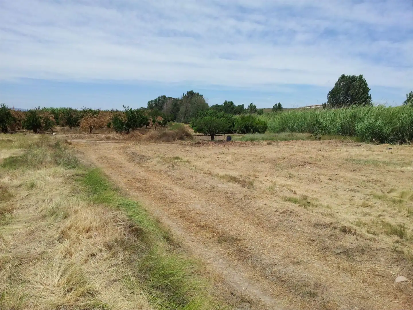Finca rústica en venta en Xàtiva