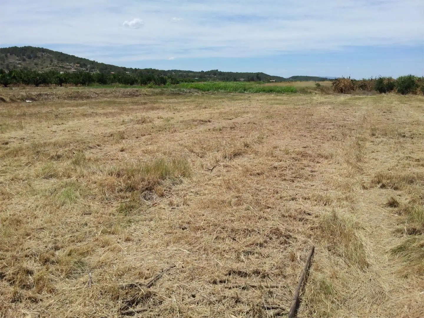 Finca rústica en venta en Xàtiva