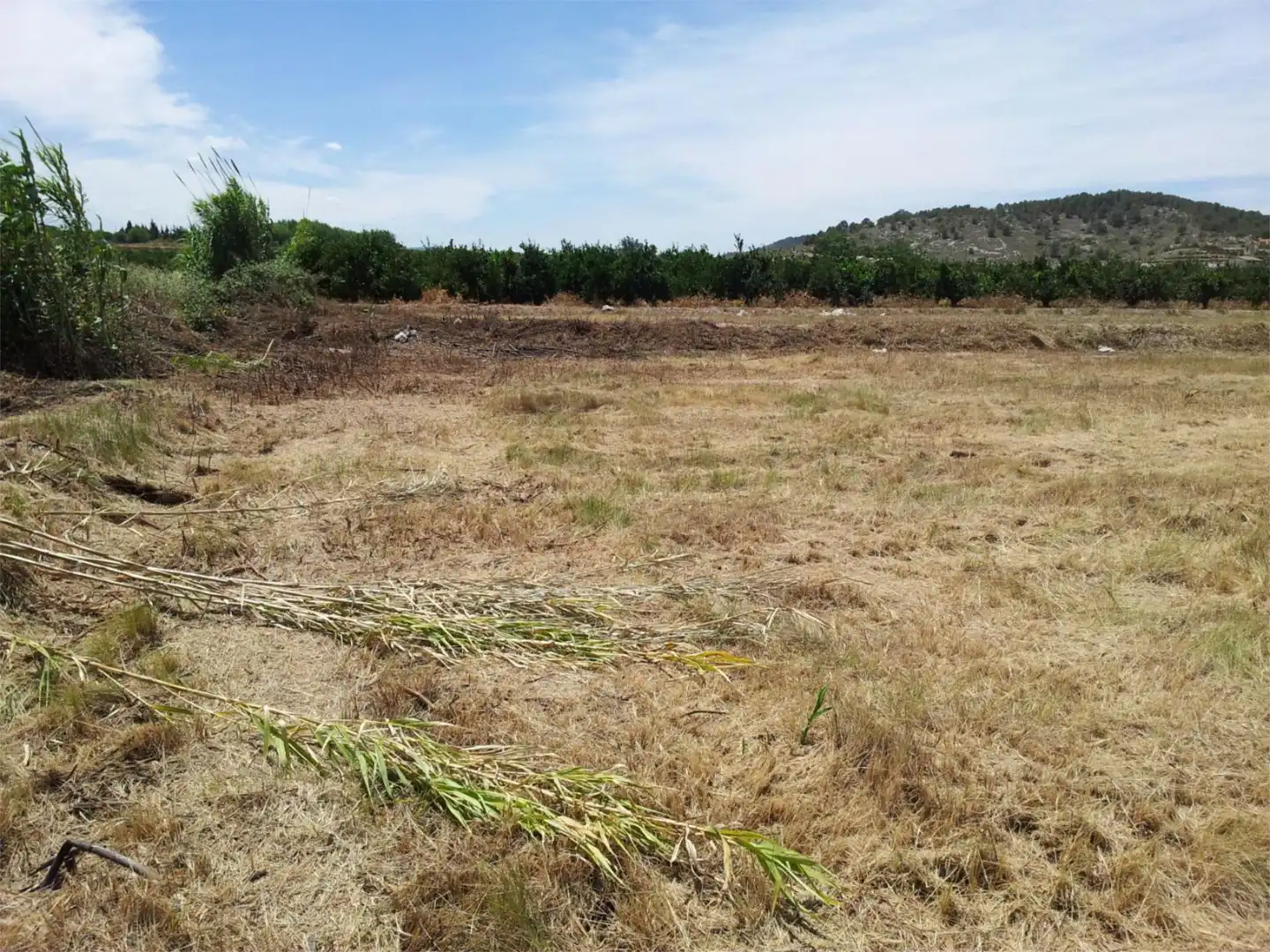 Finca rústica en venta en Xàtiva