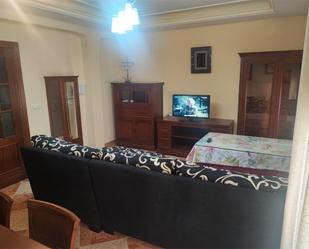 Living room of Flat to rent in Guadix  with Air Conditioner, Heating and Furnished