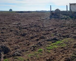 Non-constructible Land for sale in Villafranca de los Caballeros