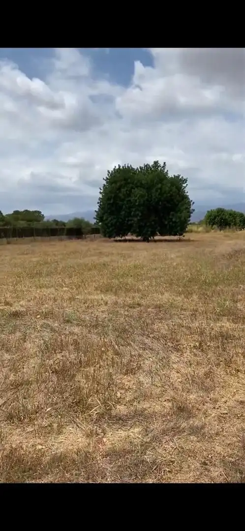 Non-constructible Land for sale in Santa Eugènia