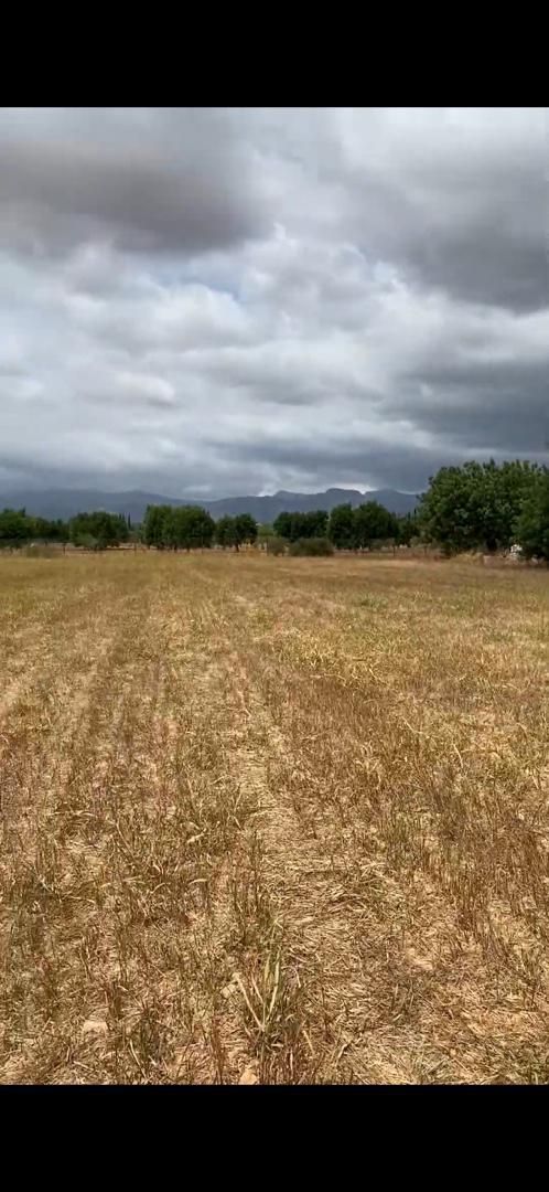 No Urbanitzable en venda en Santa Eugènia