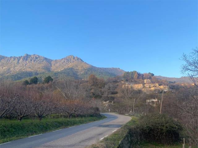 Finca rústica en Venta en Carretera de Arenas, 1 en El Arenal