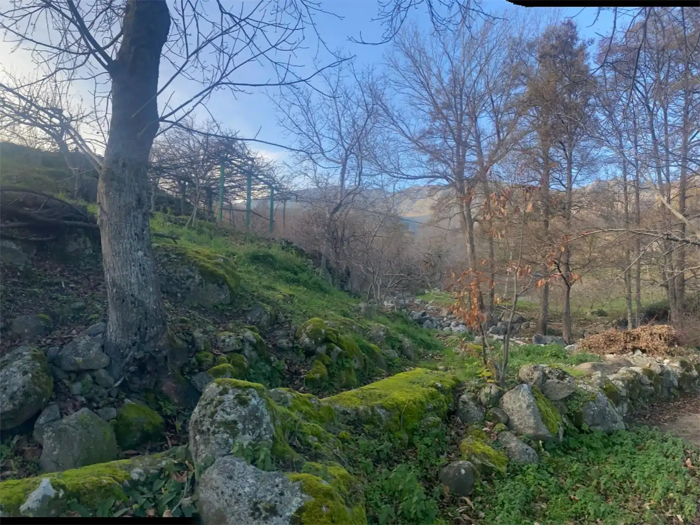 Finca rústica en venda en El Arenal 