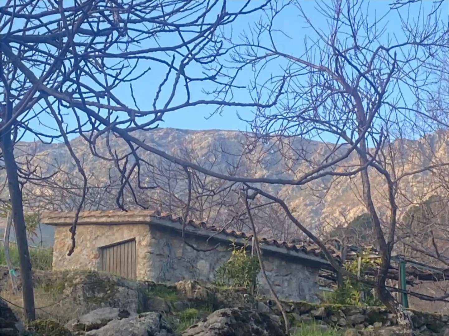 Vista exterior de Finca rústica en venda en El Arenal 