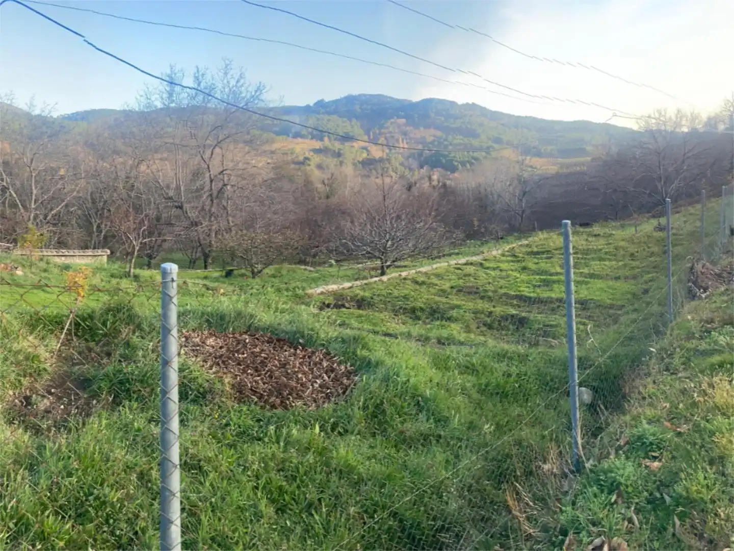 Finca rústica en venda en El Arenal 