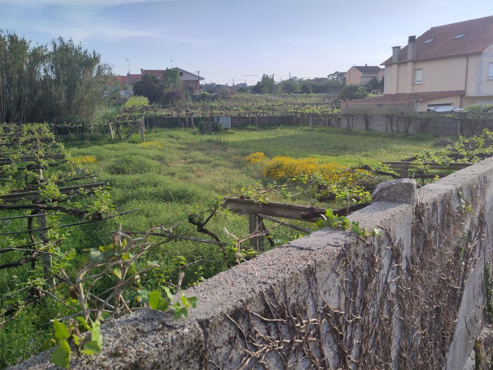 Non-constructible Land for sale in Vilagarcía de Arousa