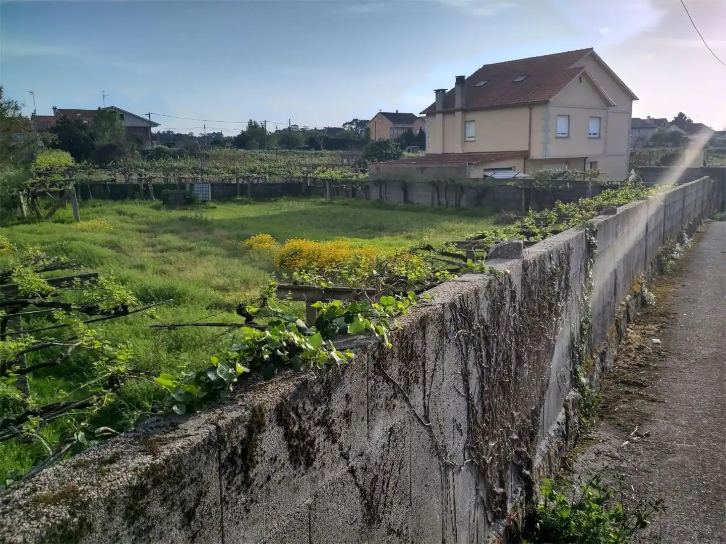 Non-constructible Land for sale in Vilagarcía de Arousa