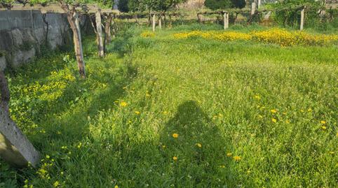 Foto 3 de No Urbanitzable en venda a Rúa Da Fonte de Faxilde, 13, Sobrán, Pontevedra