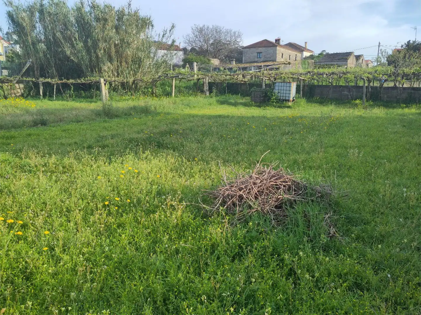 Non-constructible Land for sale in Vilagarcía de Arousa