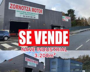 Industrial buildings for sale in Amorebieta-Etxano