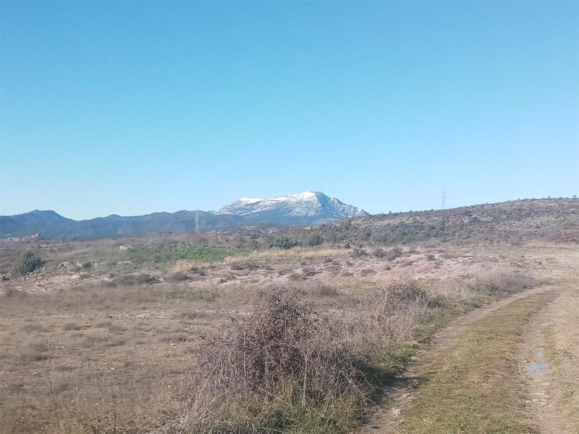 Land for sale in Sabiñánigo