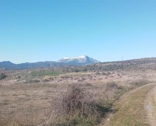 Terreny en venda en Sabiñánigo