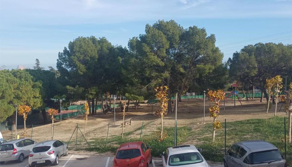 Foto 1 de Pis de lloguer a Carrer del Puig, 6, Escandinavia - Cautivador, Alicante