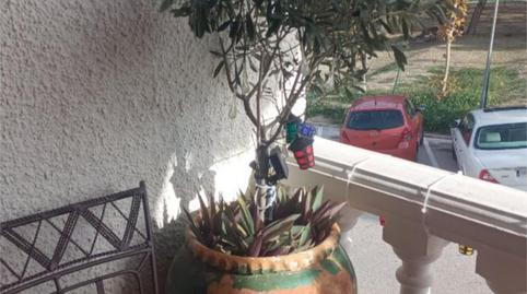 Foto 4 de Pis de lloguer a Carrer del Puig, 6, Escandinavia - Cautivador, Alicante