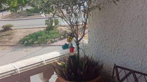 Foto 5 de Pis de lloguer a Carrer del Puig, 6, Escandinavia - Cautivador, Alicante