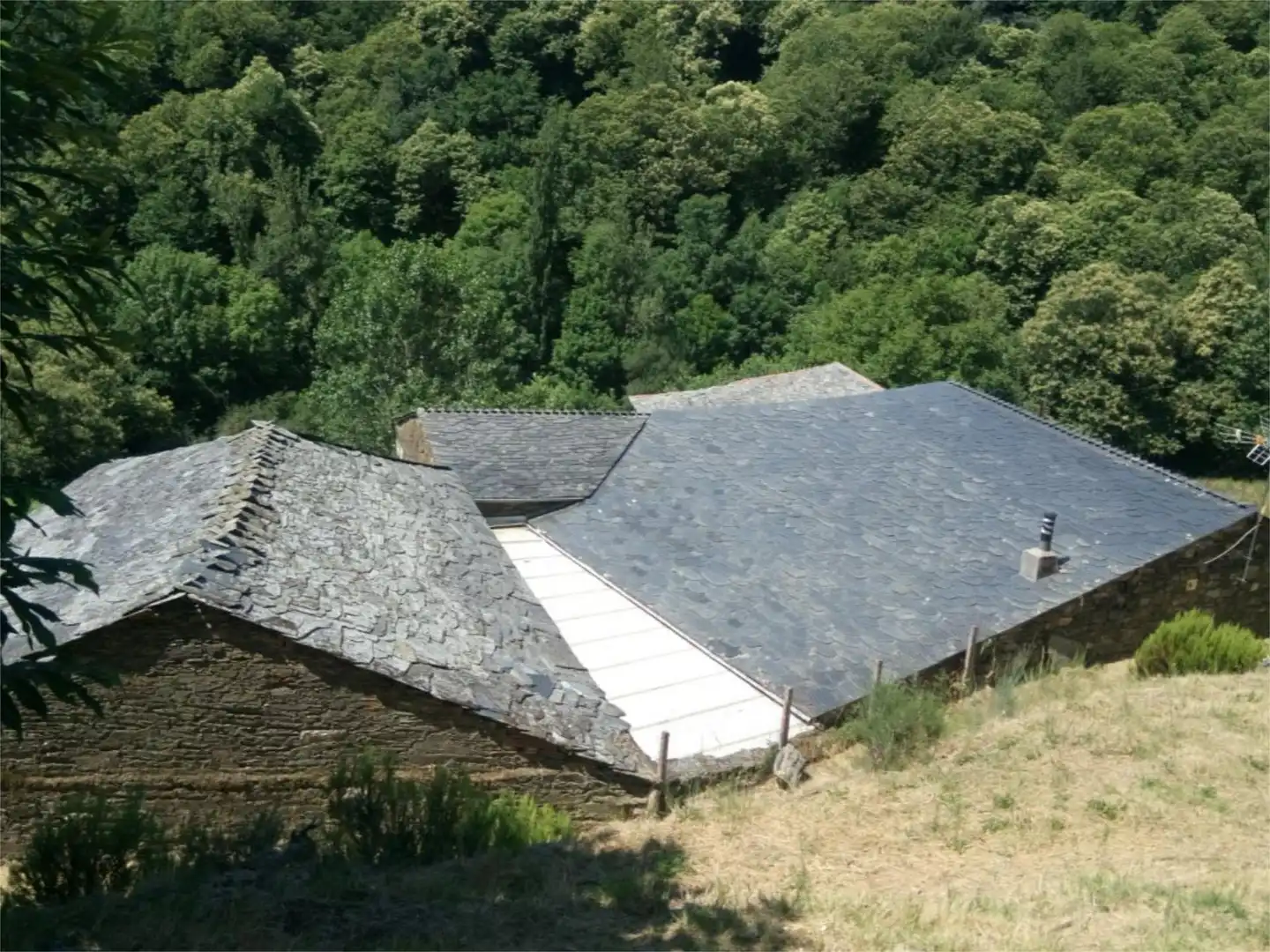 Vista exterior de Finca rústica en venta en Lugo