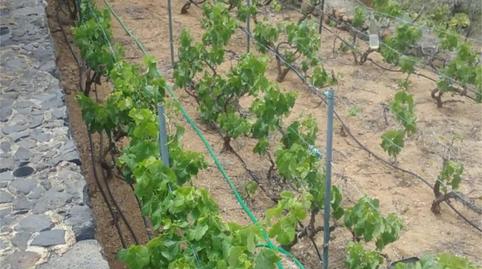 Foto 3 von Country house zum Verkauf in Carretera el Palmar, 18, Buenavista del Norte, Santa Cruz de Tenerife