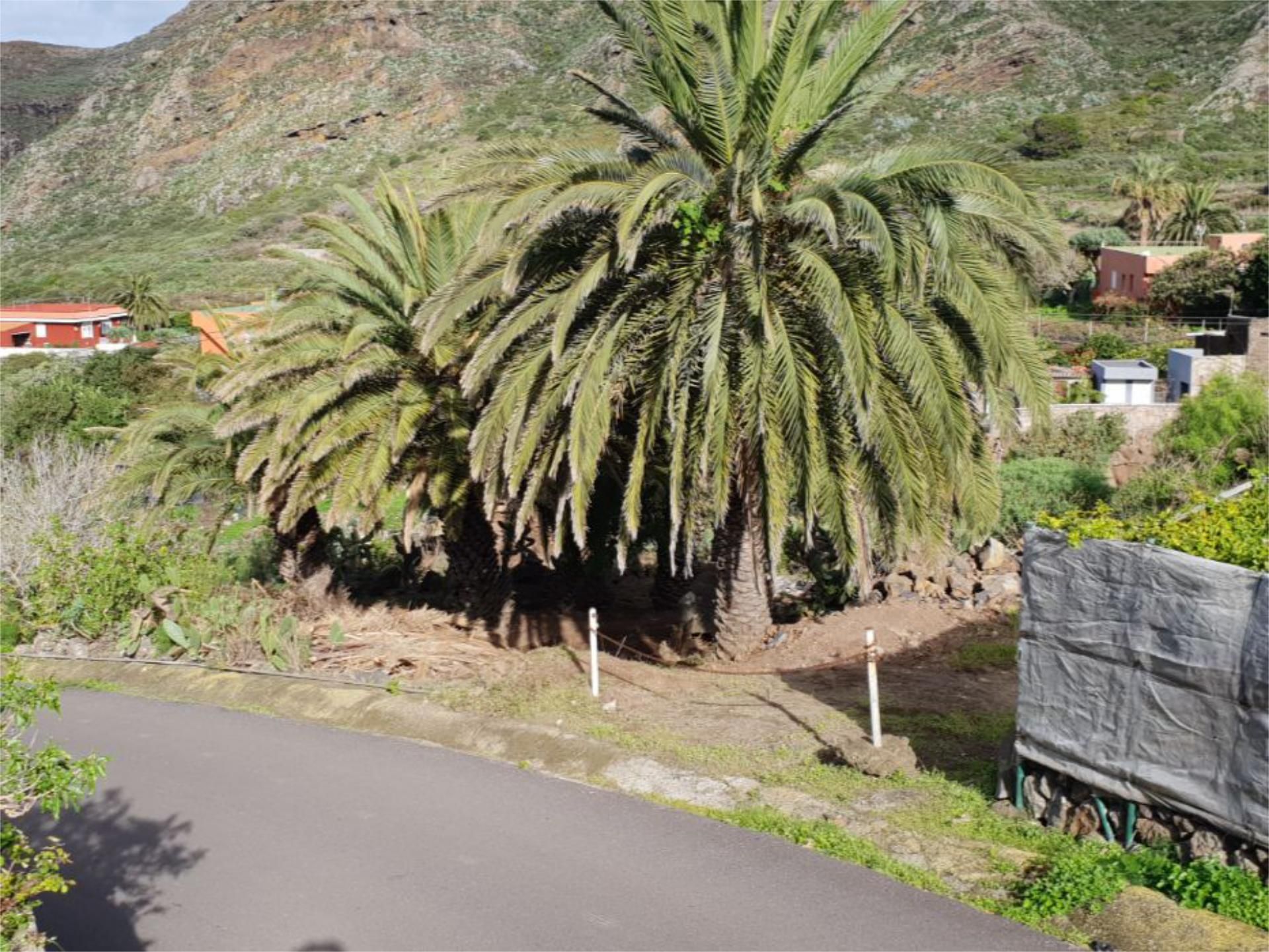 Vista exterior de Finca rústica en venda en Buenavista del Norte