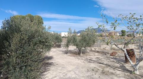 Casa o xalet en venda a Carrer Almoina, 16, Novelda, Alicante - imatge 3 Foto 3 de Casa o xalet en venda a Carrer Almoina, 16, Novelda, Alicante