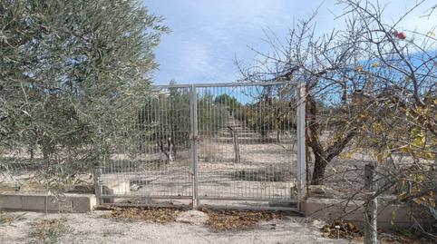 Casa o xalet en venda a Carrer Almoina, 16, Novelda, Alicante - imatge 4 Foto 4 de Casa o xalet en venda a Carrer Almoina, 16, Novelda, Alicante