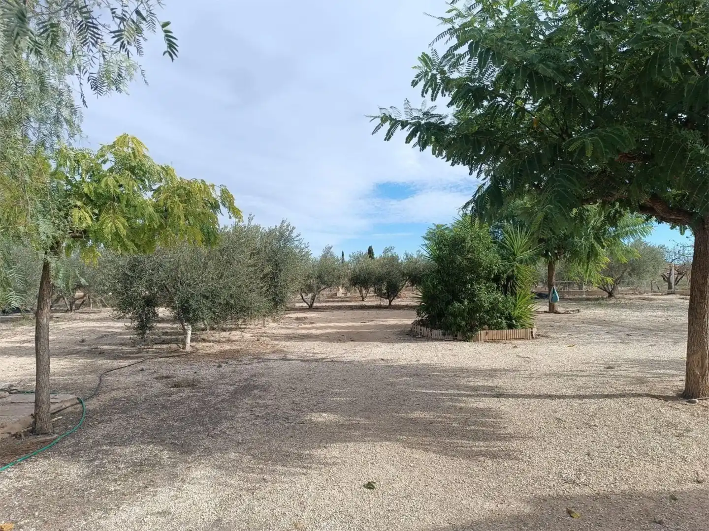 Houses for sale in Carrer Almoina, 16, Novelda Houses for sale in Novelda
