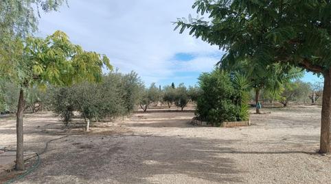 Casa o xalet en venda a Carrer Almoina, 16, Novelda, Alicante - imatge 5 Foto 5 de Casa o xalet en venda a Carrer Almoina, 16, Novelda, Alicante