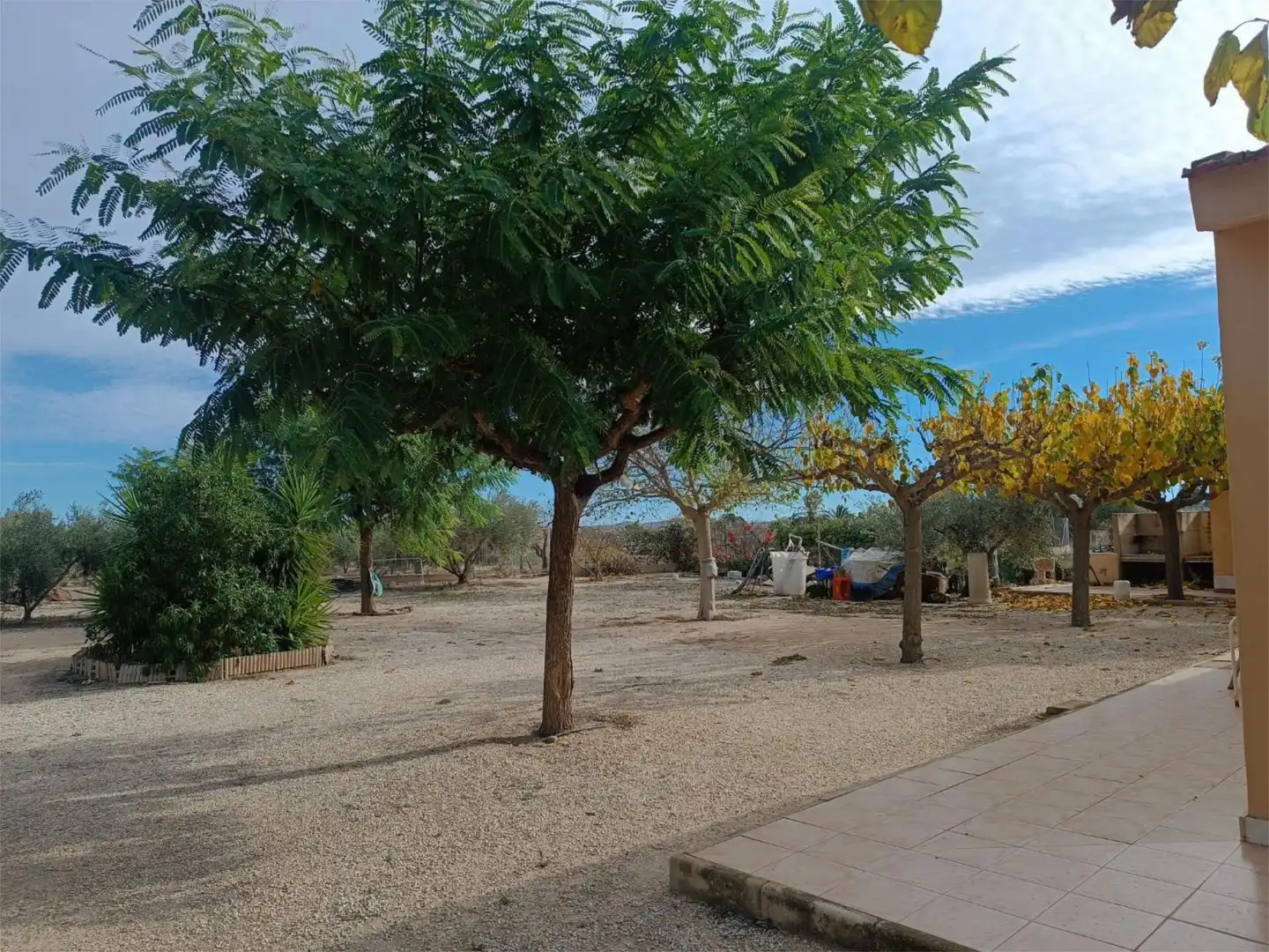 Houses for sale in Carrer Almoina, 16, Novelda Houses for sale in Novelda