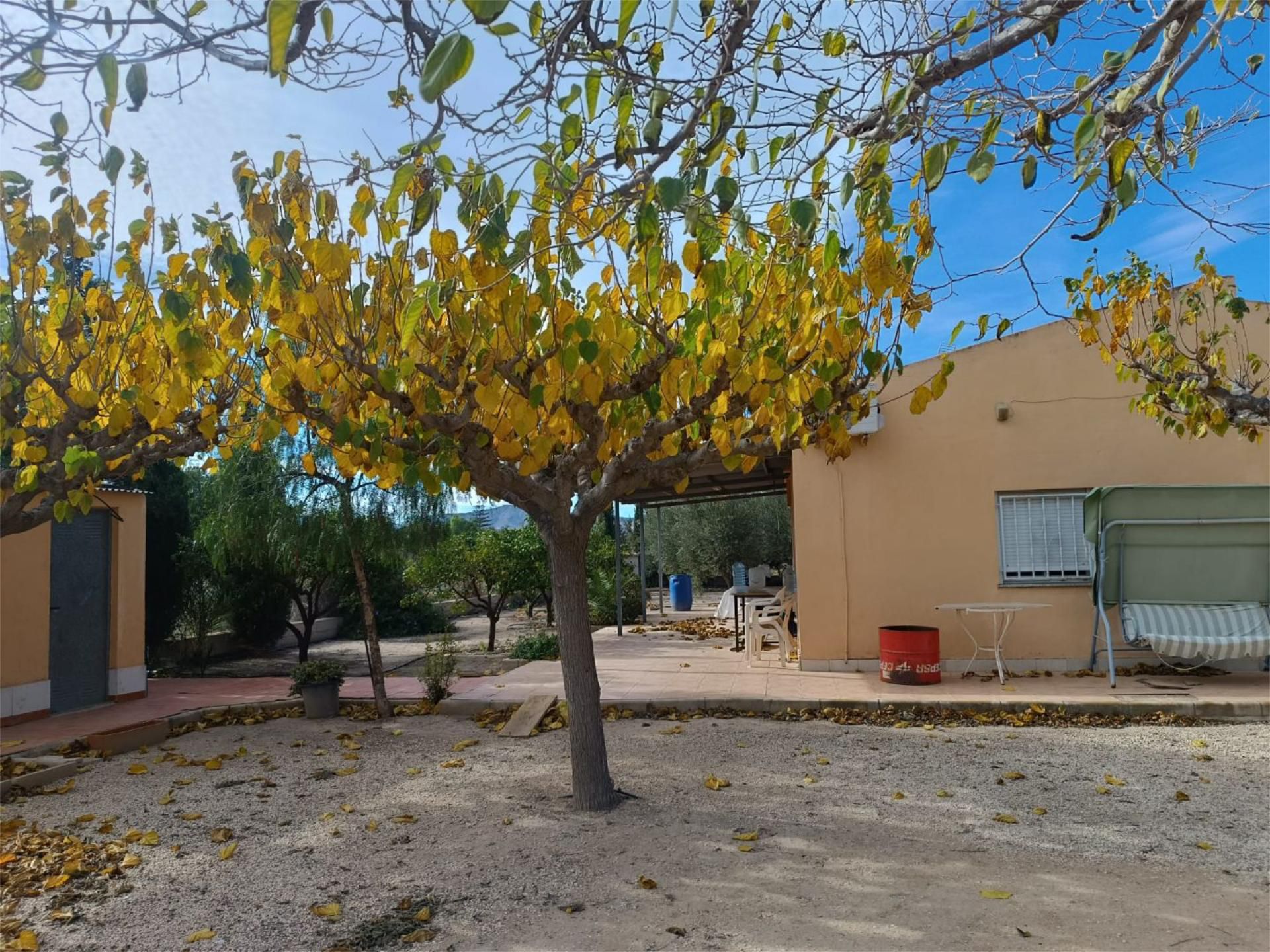 Jardí de Casa o xalet en venda en Novelda