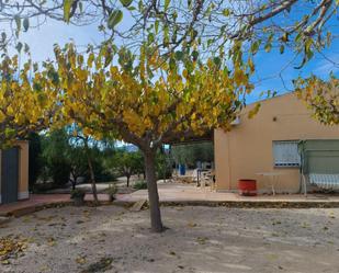 Garden of House or chalet for sale in Novelda