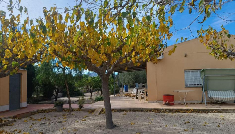 Casa o xalet en venda a Carrer Almoina, 16, Novelda, Alicante - imatge 1 Foto 1 de Casa o xalet en venda a Carrer Almoina, 16, Novelda, Alicante