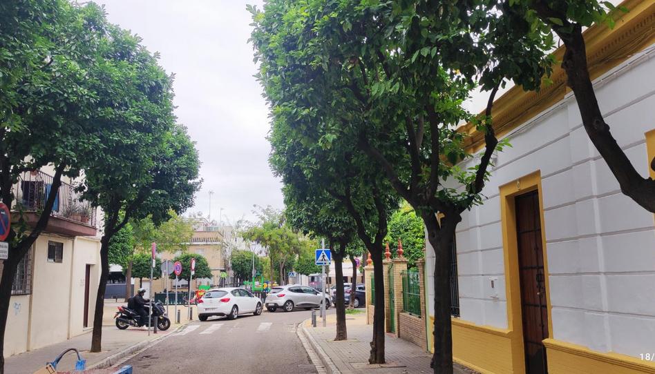 Photo 1 of Premises for sale in María Ortiz, 3, Barrio León, Sevilla