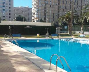 Swimming pool of Flat to rent in Mijas  with Private garden, Terrace and Swimming Pool