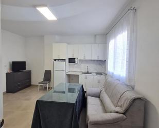 Kitchen of Loft to rent in Alcaudete  with Furnished, Washing machine and Microwave