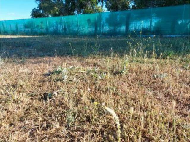 Terreno en Venta en Carretera Bahabón, 5 en Cuéllar