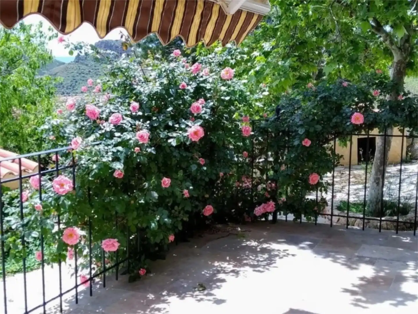 Finca rústica en venta en Calle Gran Vía, 18, Elche de la Sierra Jardín de Finca rústica en venta en Elche de la Sierra con Jardín privado, Terraza y Trastero