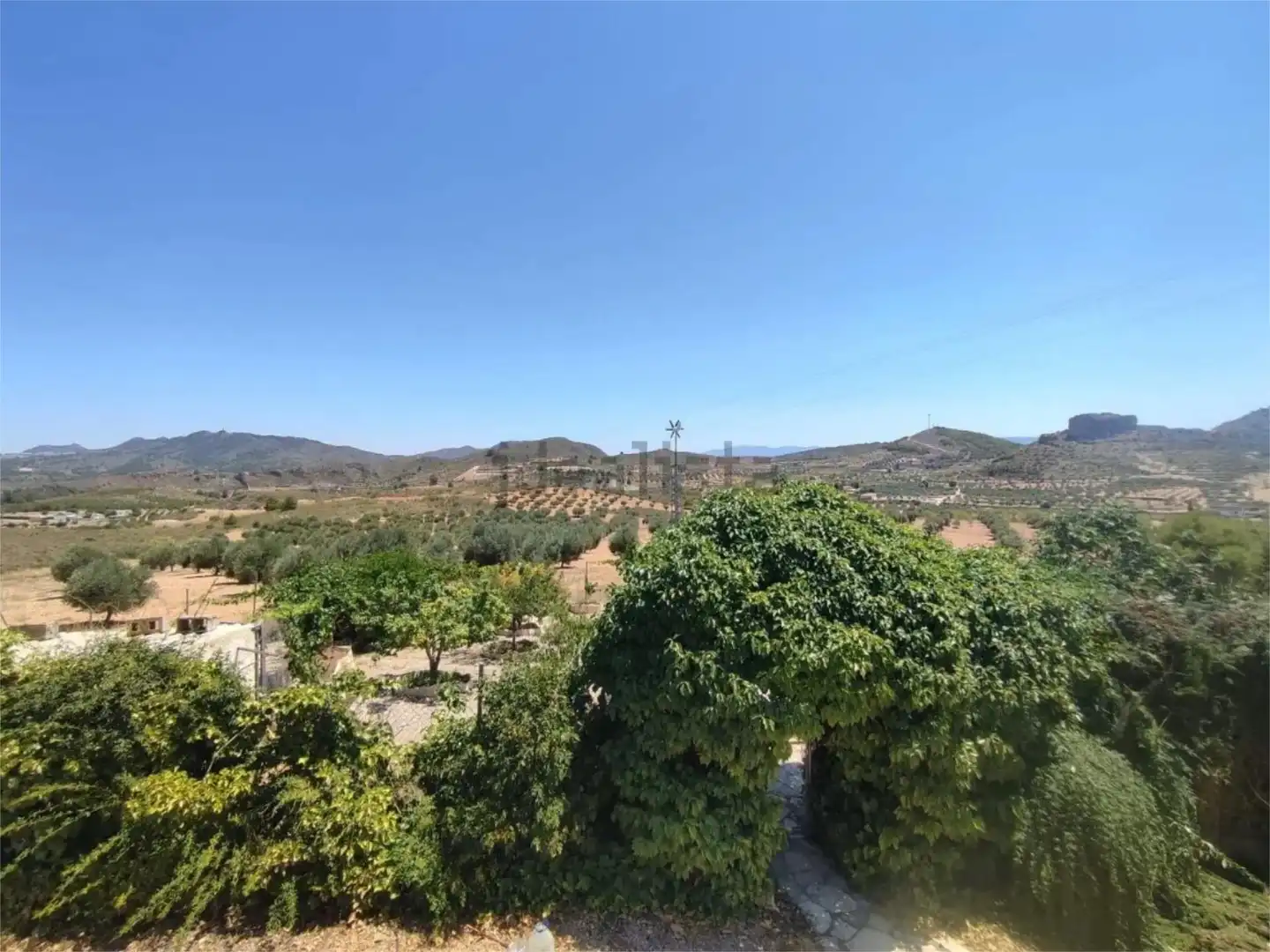 Finca rústica en venta en Calle Gran Vía, 18, Elche de la Sierra Vista exterior de Finca rústica en venta en Elche de la Sierra con Jardín privado, Terraza y Trastero