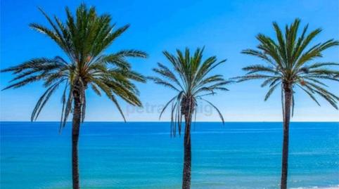 House or chalet to rent in Avenida de España, 50, Mil Palmeras, Alicante - image 2 Photo 2 of House or chalet to rent in Avenida de España, 50, Mil Palmeras, Alicante