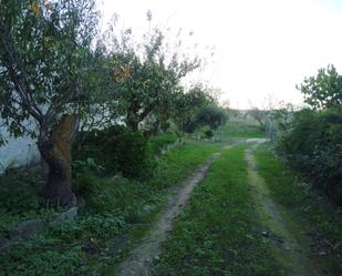 Finca rústica en venda en Ardales amb Terrassa i Piscina