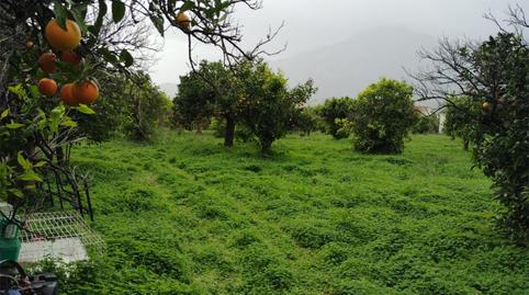 Finca rústica en venda a Carretera Comarcal 441, 1, Carratraca, Málaga - imatge 2 Foto 2 de Finca rústica en venda a Carretera Comarcal 441, 1, Carratraca, Málaga