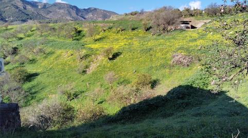 Finca rústica en venda a Carretera Comarcal 441, 1, Carratraca, Málaga - imatge 5 Foto 5 de Finca rústica en venda a Carretera Comarcal 441, 1, Carratraca, Málaga