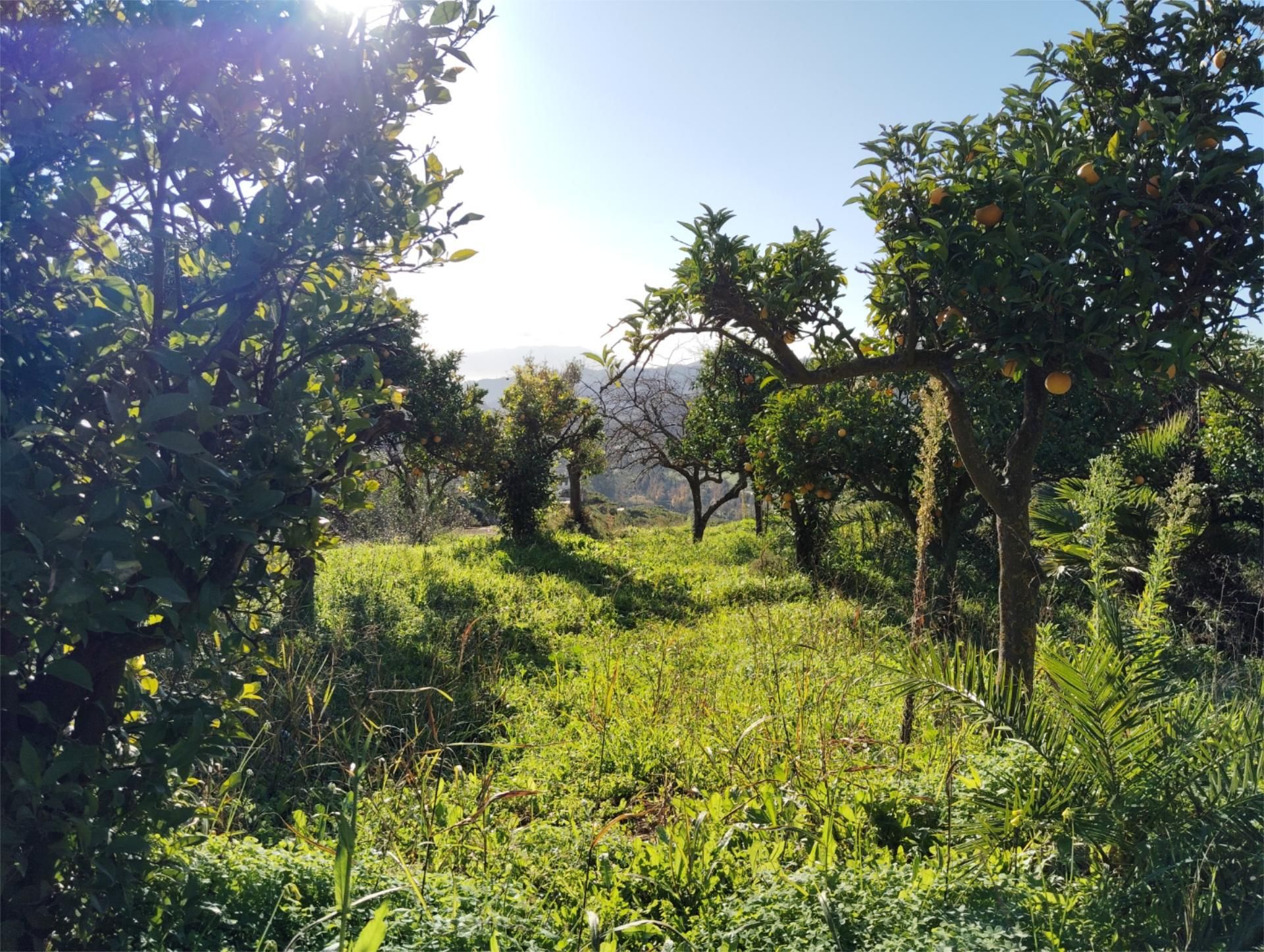 Finca rústica en venda en Carratraca amb Aire condicionat
